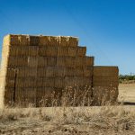 Gourmet Madrid 3sept_41