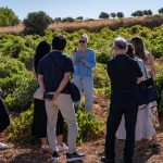 Gourmet Madrid 3sept_51