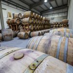 Territorio Luthier52